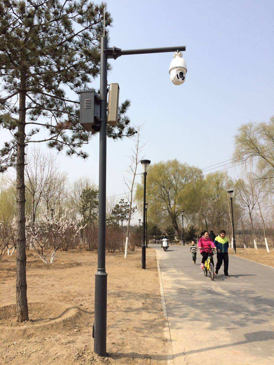 路灯监控杆-LX-03